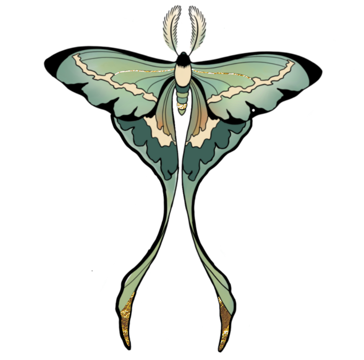 Glowing Phase